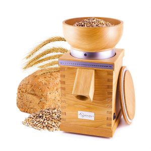 SanaGM_grains
