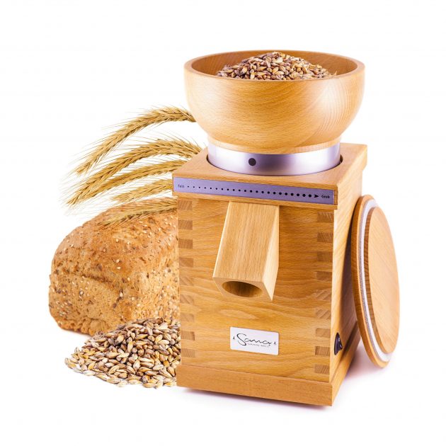 SanaGM_grains