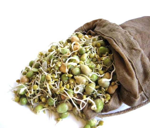 Мешок для проращивания, Sprout Bag Мешок для проращивания, Sprout Bag