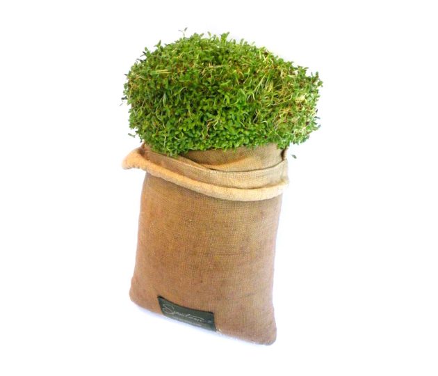 Мешок для проращивания, Sprout Bag Мешок для проращивания, Sprout Bag