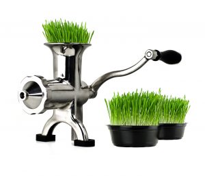 Manual Juicer BL-30 Manual Juicer BL-30