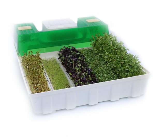 EasyGreen EGL 55 EasyGreen EGL 55