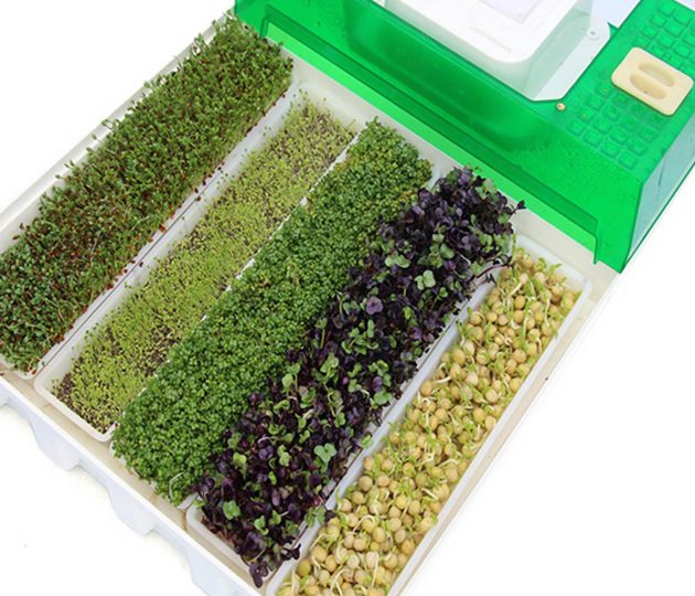 EasyGreen EGL 55 EasyGreen EGL 55