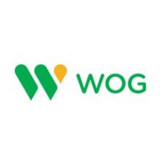 WOG<br>Cеть автозаправочных комплексов
