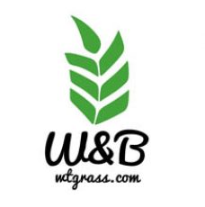 W&B<br>Производство зелёных соков